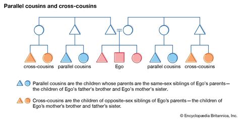 Agnate Siblings