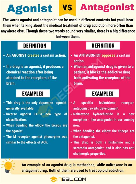 Agonist Vs Antagonist