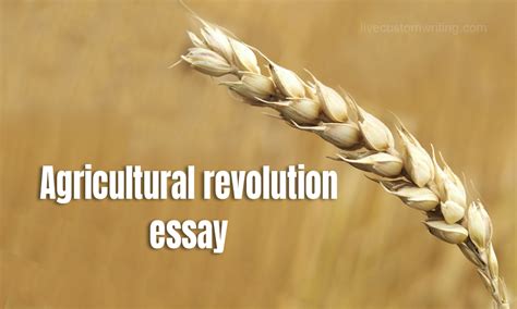 Agricultural Revolution Essays Reliable Essay Writers That Agricultural Revolution Worksheet - Agricultural Revolution Worksheet