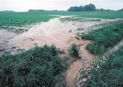 Agricultural Runoff Into A River