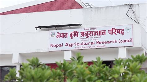 Read Agricultural Engineering Research Development In Nepal 