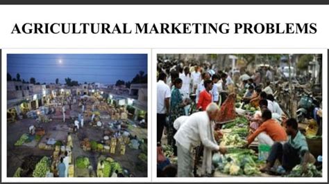 Read Agricultural Marketing Problems And Prospects Shaleh 