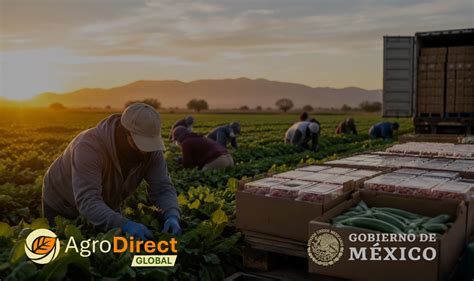 Agro Exportacion 4