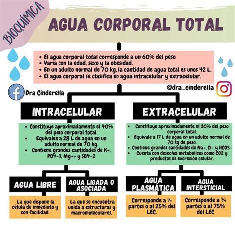 Agua Corporal Total Fórmula
