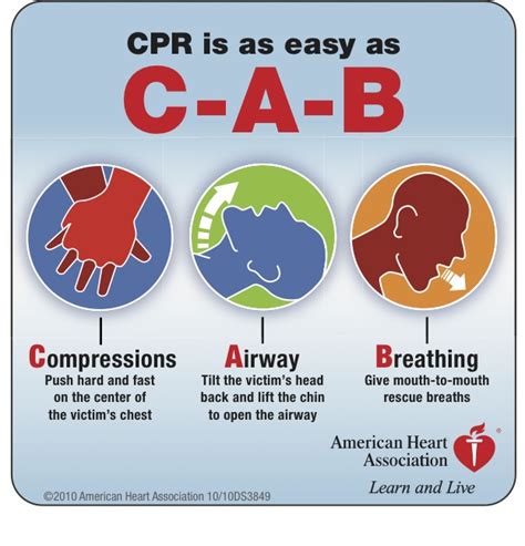 Aha Cpr Guidelines 2012 Chart
