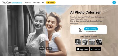 ai colorizer