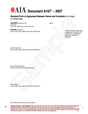 Full Download Aia Document A107 2007 