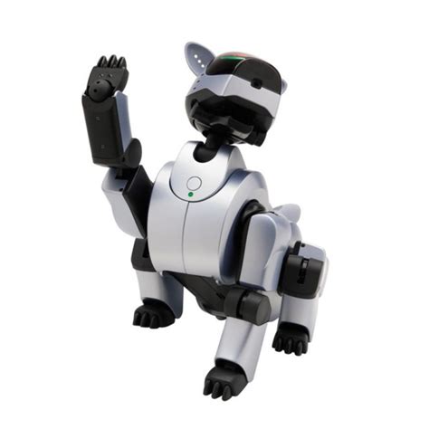 Read Online Aibo Life User Guide 