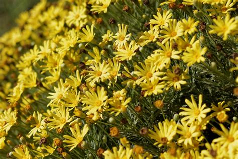 ailin perez OnlyFans leaked content