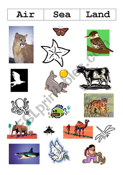 Air Land And Sea Animals Worksheet Teaching Resource Kindergarten Sea Animal Worksheet  - Kindergarten Sea Animal Worksheet`