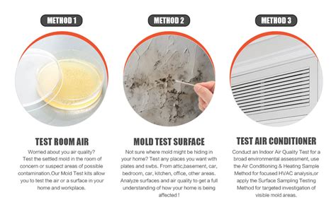 Air Testing For Mold Deemed Unreliable By Cdc