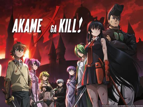 Akame Ga Kill Kill
