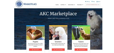 Akc Marketplace Your Expert Source For Canine Connections Infodog - Infodog