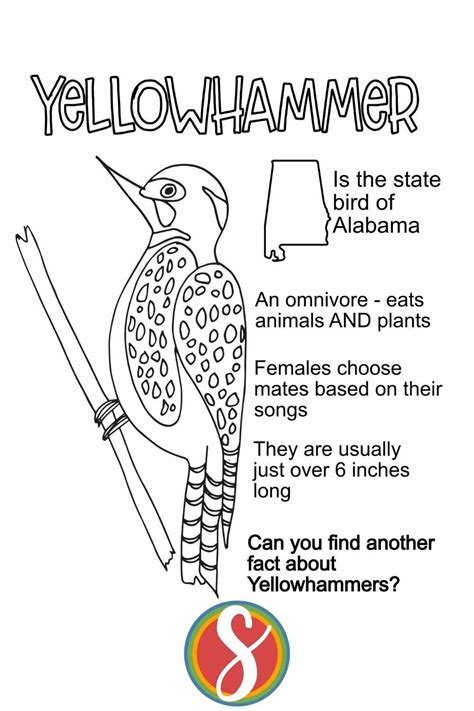 Alabama State Bird Yellowhammer Coloring Page State Of Alabama State Bird Coloring Page - Alabama State Bird Coloring Page