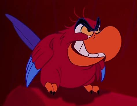 Aladdin And Iago