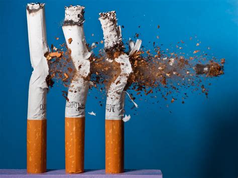 alan sailer biography