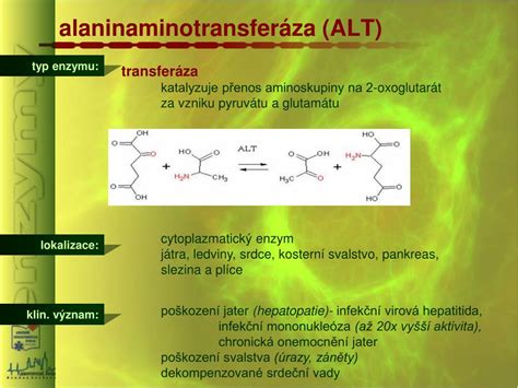 alaninaminotransferaz