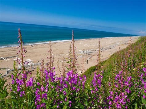 alaska beaches