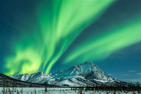alaska borealis