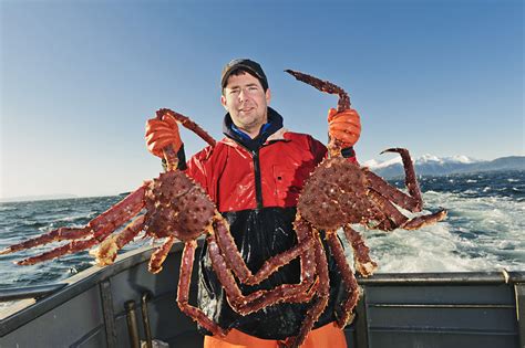 alaska crab