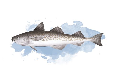 alaska pollock