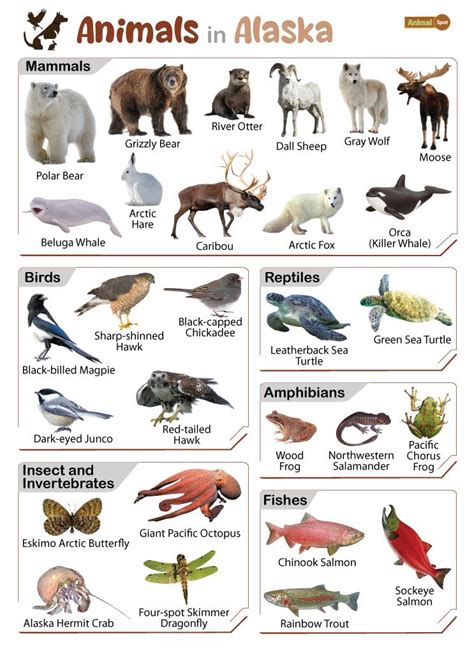 alaskan animals