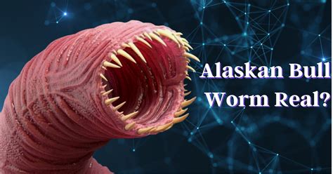 Alaskan Bull Worm Real