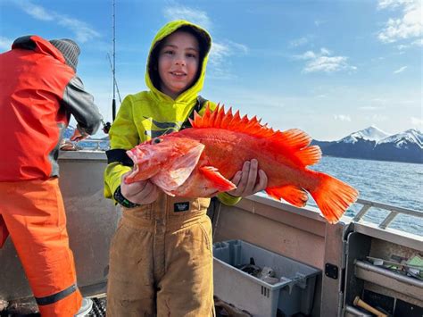 alaskan rockfish