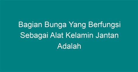 ALAT KELAMIN JANTAN PADA BUNGA ADALAH - alat kelamin jantan pada bunga disebut