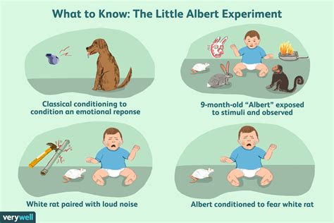 Albert Experiment