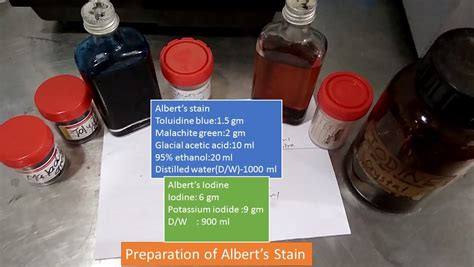 Albert Stain Procedure