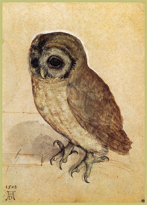albrecht durer