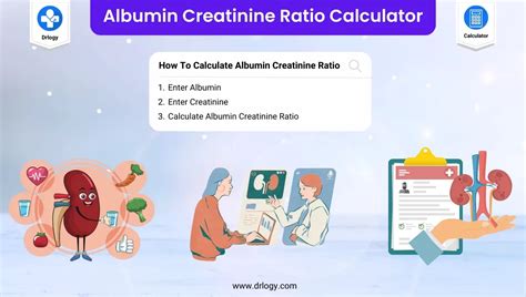 albumine creatinine