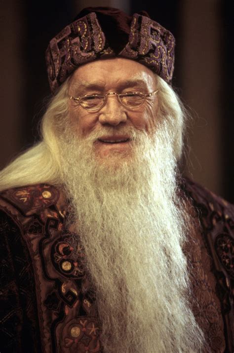 Albus Dumbledore Character