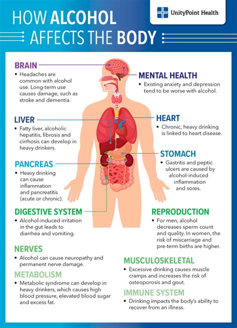 Alcohol Consumption Mainly Affects Which System