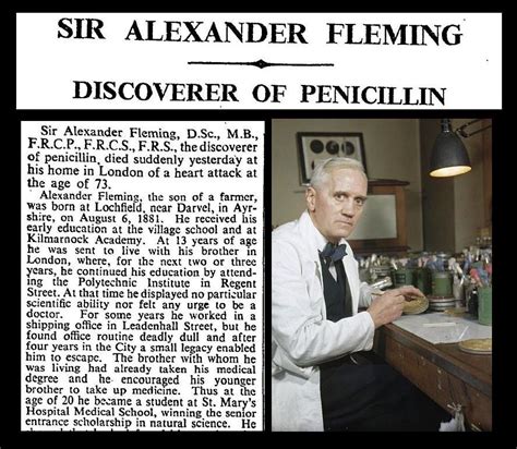 alexander fleming biography timeline with paragraphs