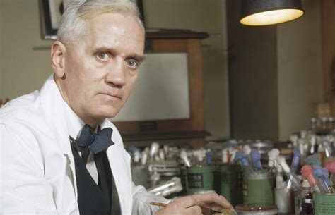 alexander fleming history in english