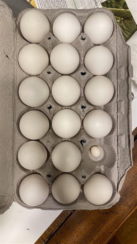 alexkayvip onlyfans leaked