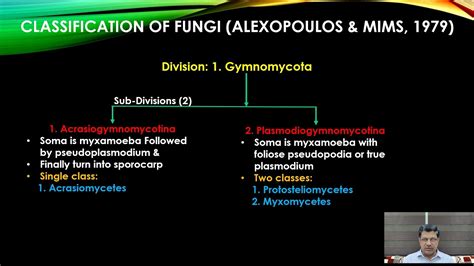 Alexopoulos Fungi Classification