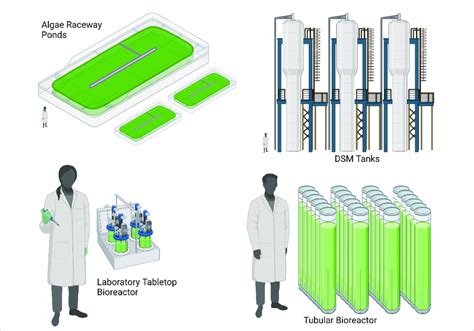 algae cultivation methods