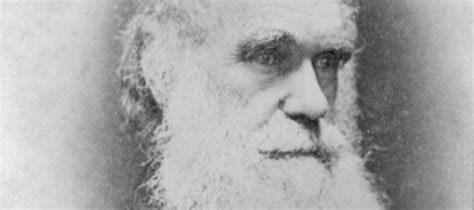 algis valiunas biography sample