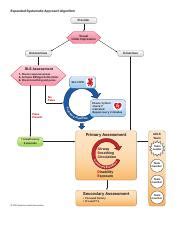 Algorithm Acls Expanded Systematic Approach 200623