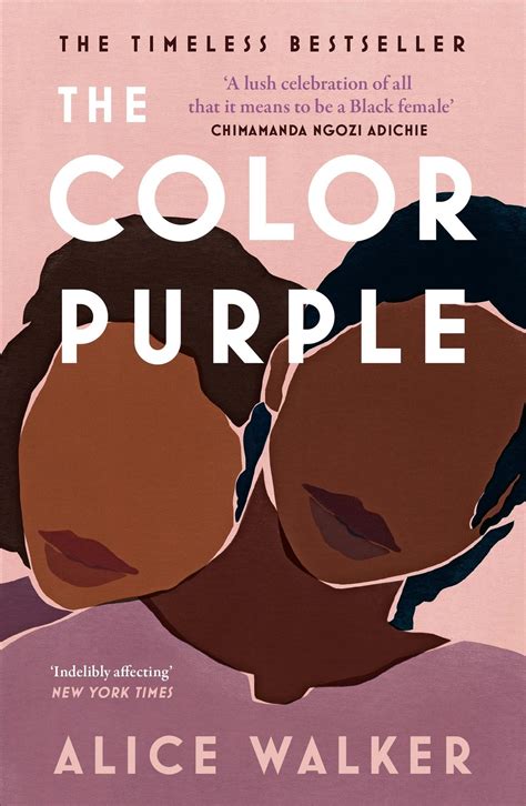 alice walker the color purple biography definition