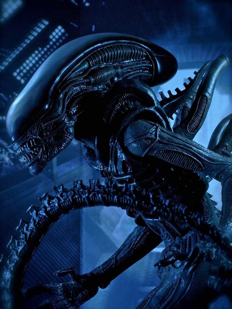 alien download film