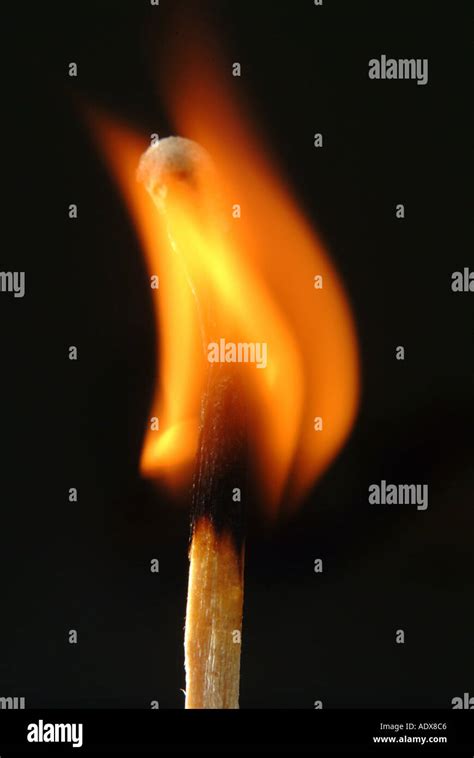 Alight In The Flame