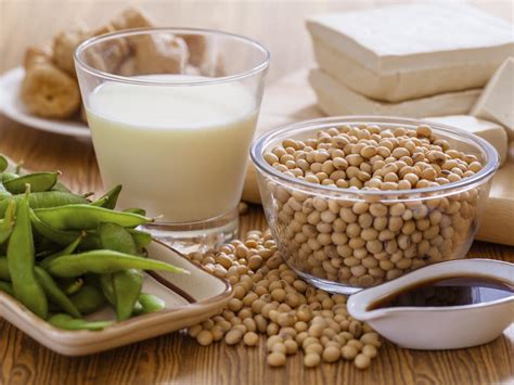 Alimentos A Base De Soja Milanesa 1 3