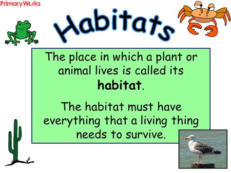 All About Habitats Kids X27 Guide To Tundra Habitat Kindergarten - Habitat Kindergarten