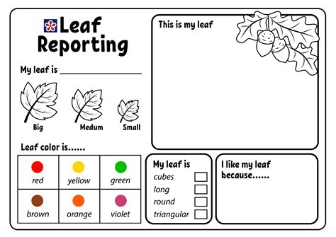 All About My Leaf Activity Worksheet Outdoors Resource Leaf Activity Worksheet - Leaf Activity Worksheet