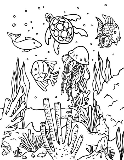 All About Ocean Habitat Coloring Pages Free Download Desert Habitat Coloring Pages - Desert Habitat Coloring Pages