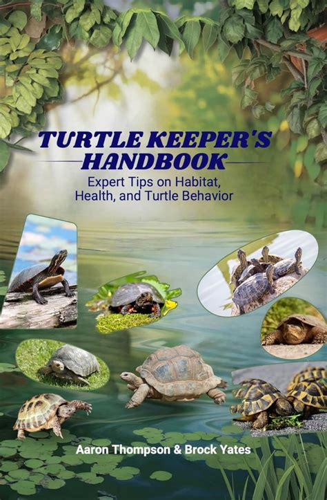 All About The Turtle